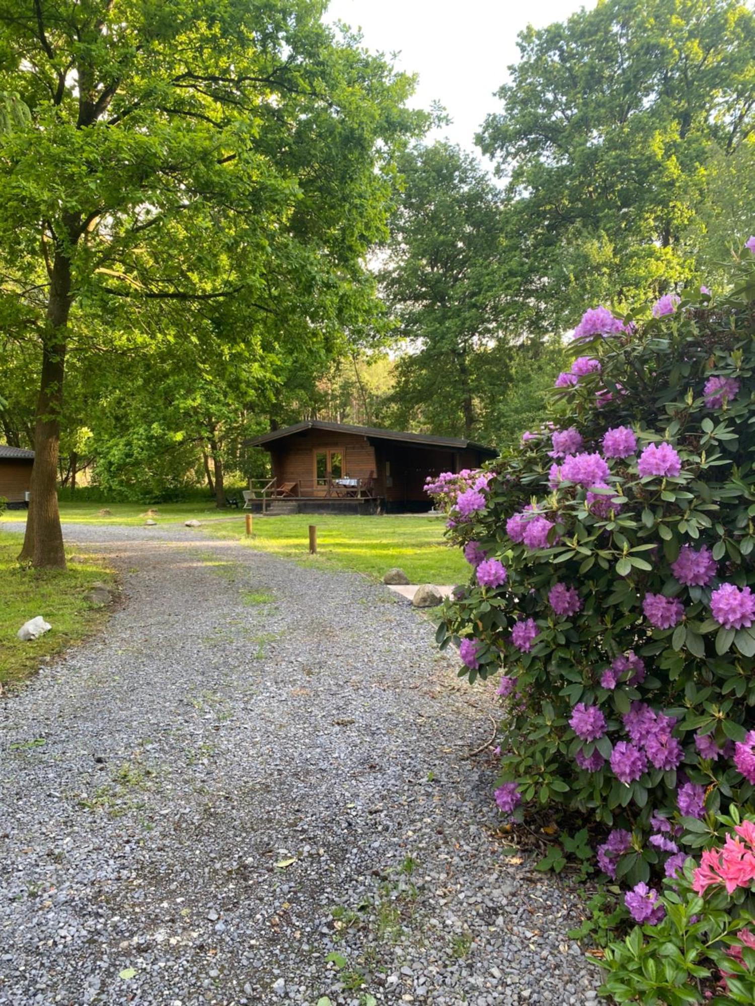 Heidegut Eschede Reitsportanlage Und Feriendorf Luaran gambar