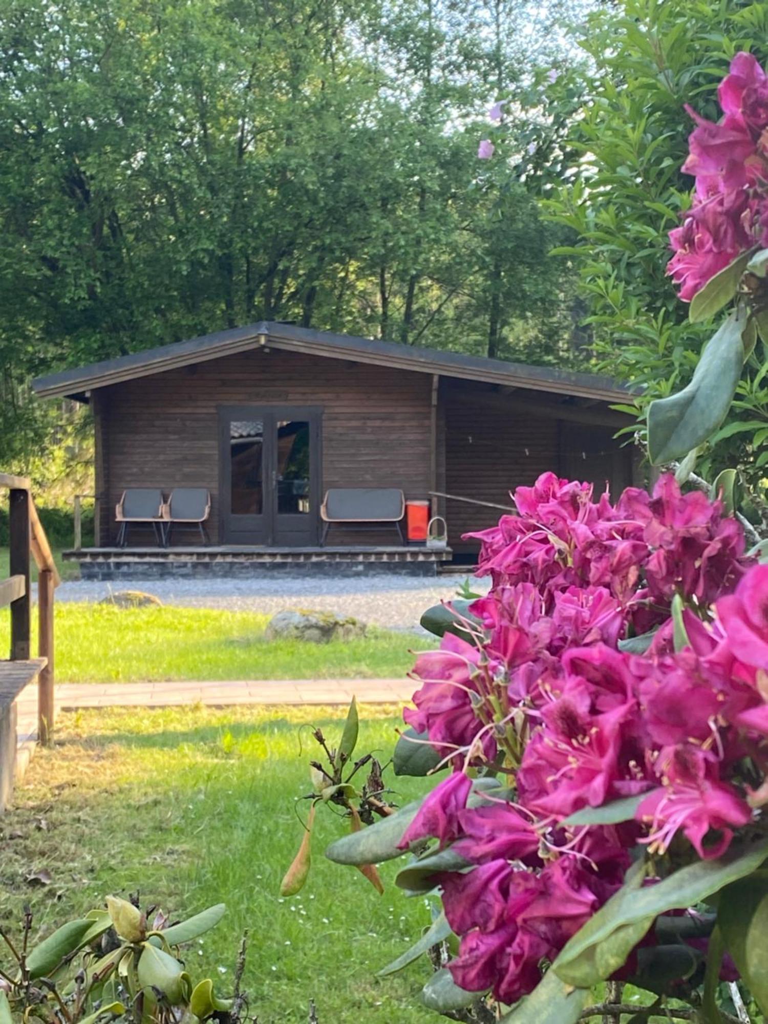 Heidegut Eschede Reitsportanlage Und Feriendorf Luaran gambar