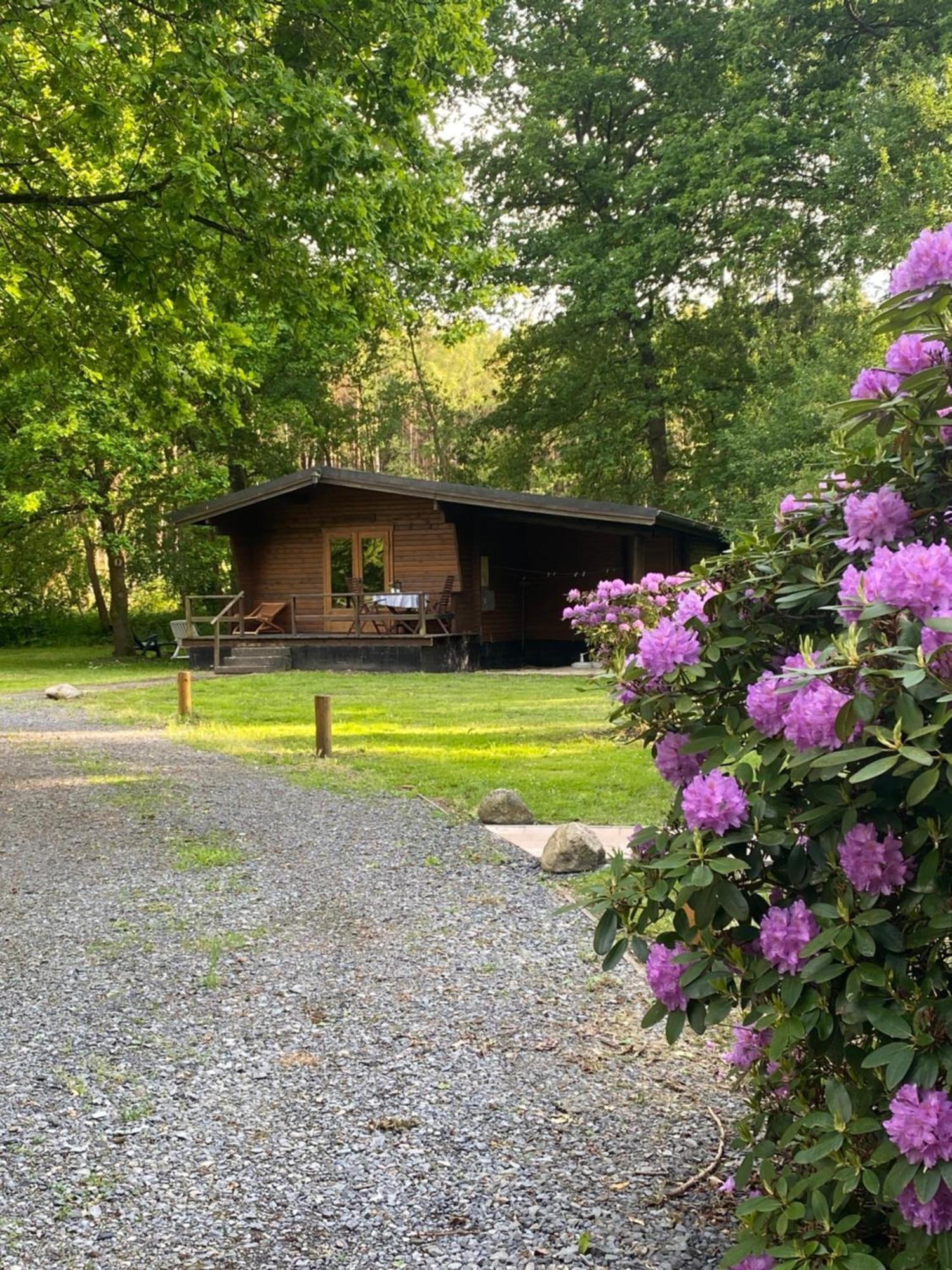 Heidegut Eschede Reitsportanlage Und Feriendorf Luaran gambar