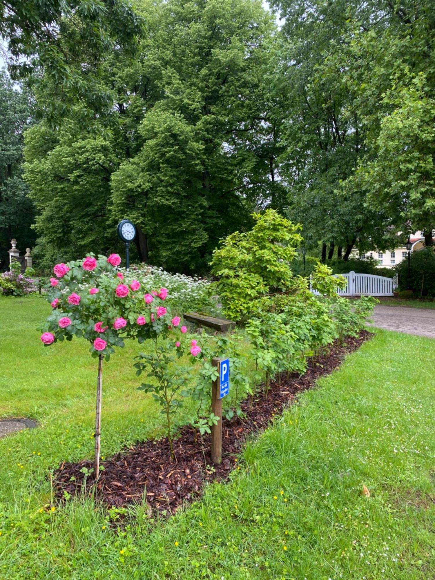 Heidegut Eschede Reitsportanlage Und Feriendorf Luaran gambar