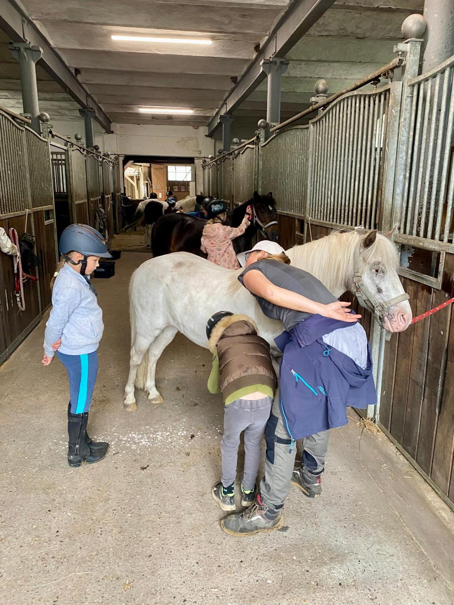 Heidegut Eschede Reitsportanlage Und Feriendorf Luaran gambar
