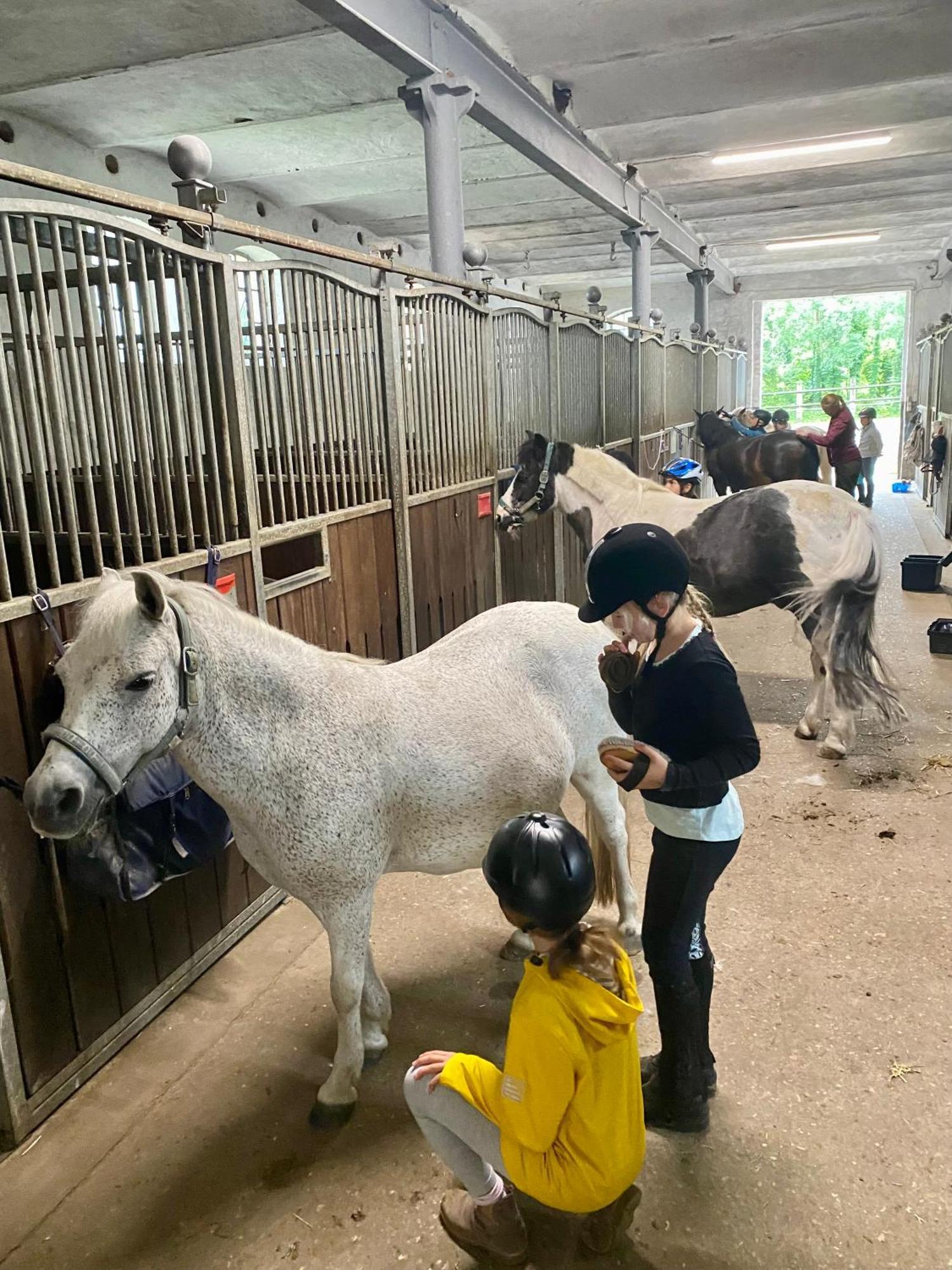 Heidegut Eschede Reitsportanlage Und Feriendorf Luaran gambar