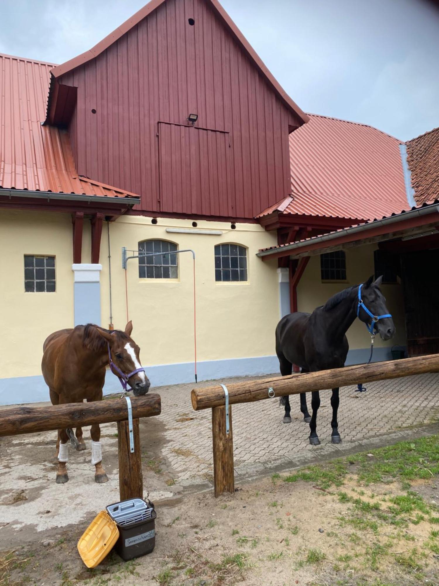 Heidegut Eschede Reitsportanlage Und Feriendorf Luaran gambar