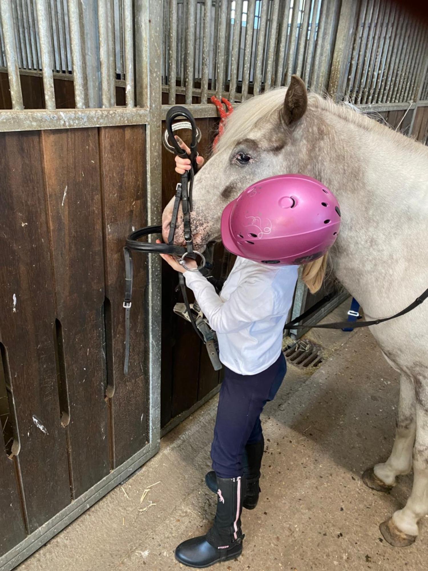 Heidegut Eschede Reitsportanlage Und Feriendorf Luaran gambar