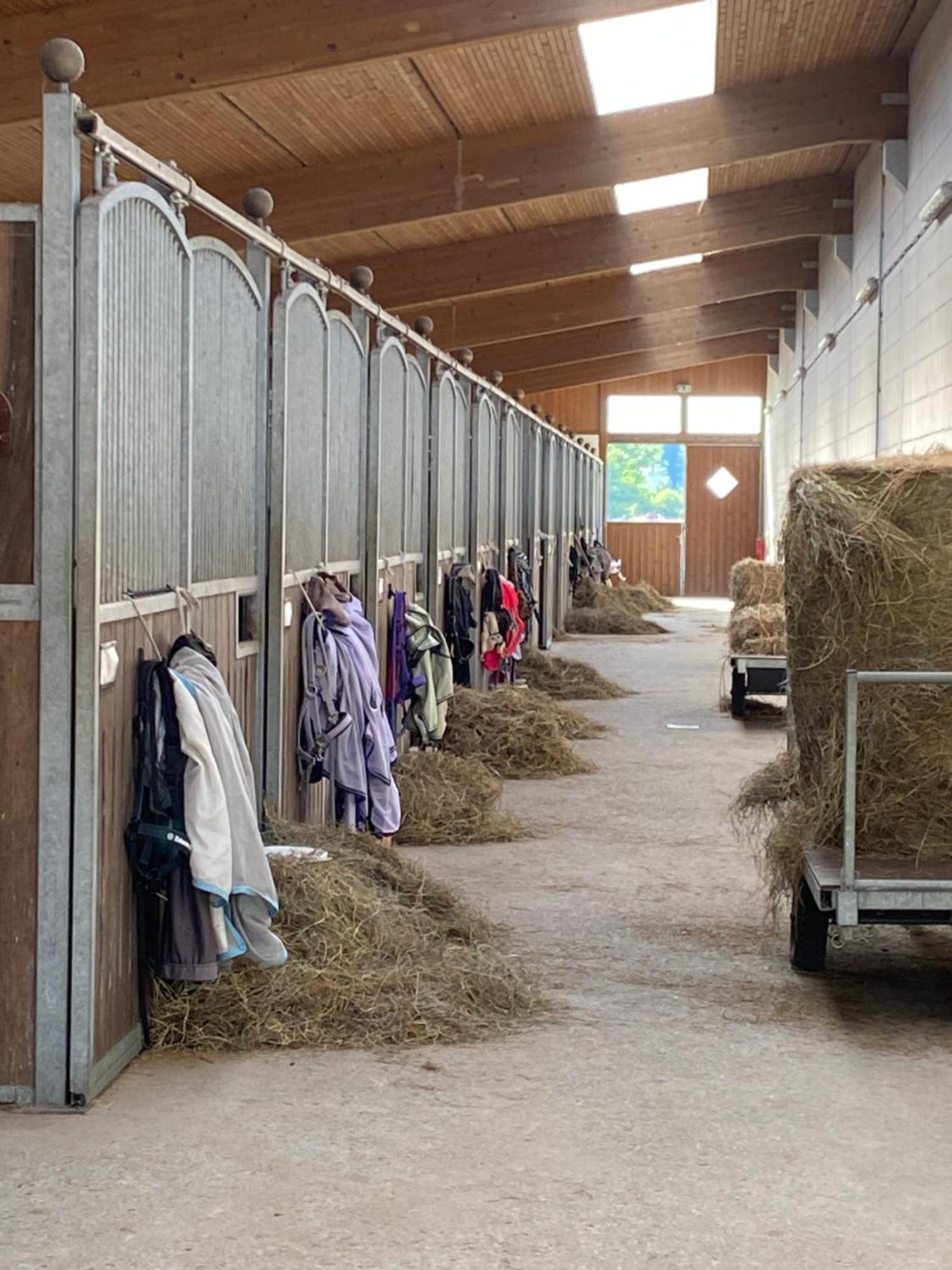 Heidegut Eschede Reitsportanlage Und Feriendorf Luaran gambar