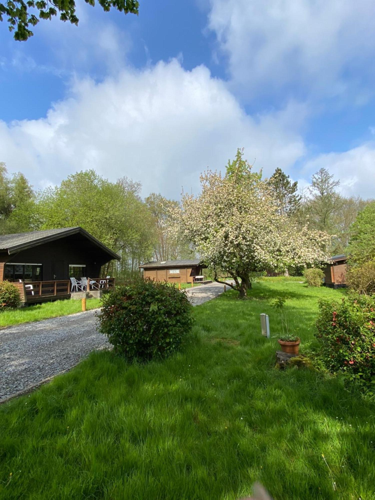 Heidegut Eschede Reitsportanlage Und Feriendorf Luaran gambar