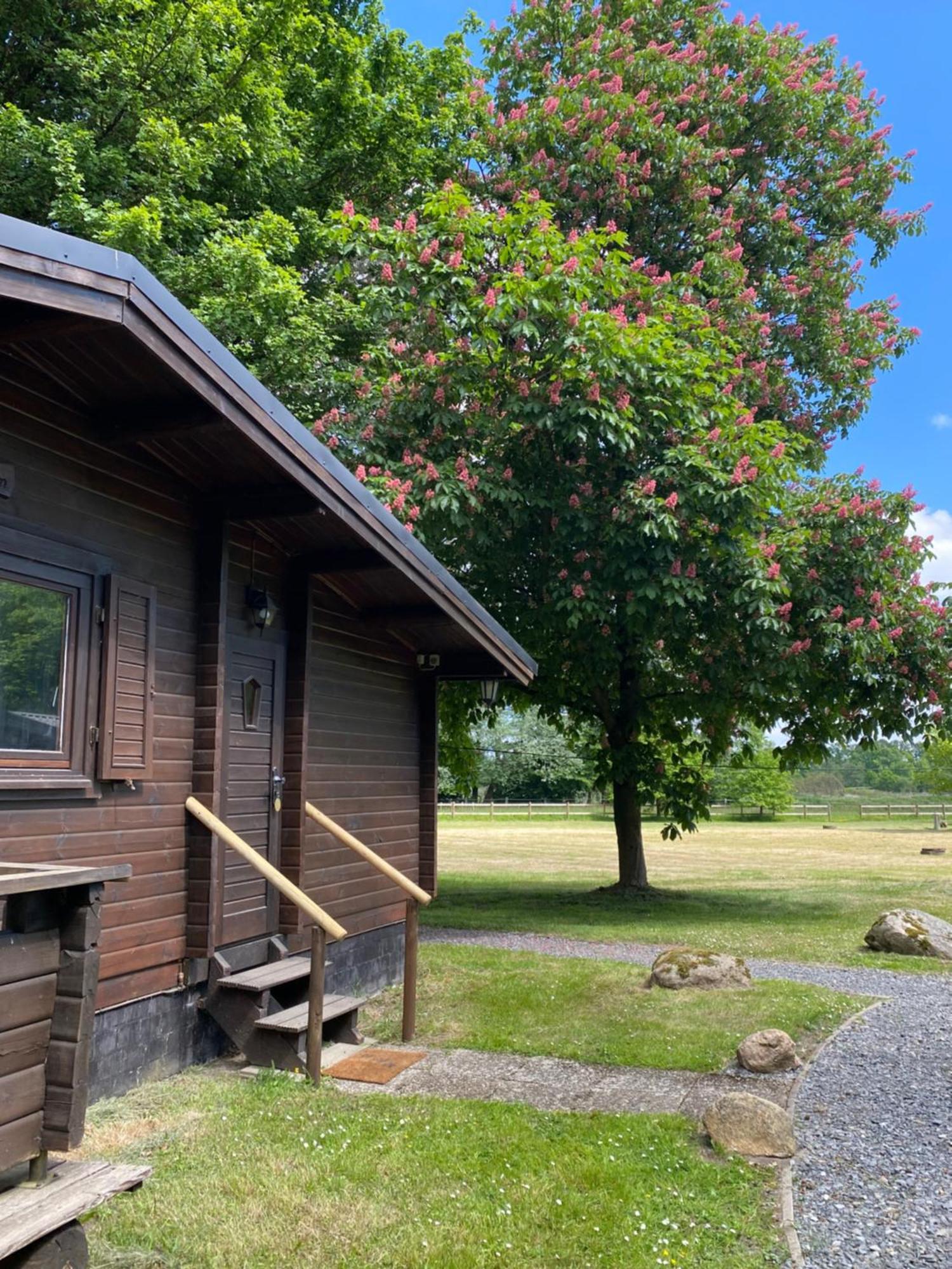 Heidegut Eschede Reitsportanlage Und Feriendorf Luaran gambar